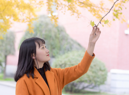 菲律宾北达沃州立学院(北达沃州立学院详解)